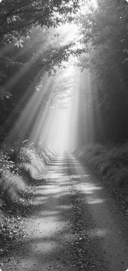 Symbolic forest path with sunlight rays, representing WIUS Capital’s guiding vision and long-term investment journey