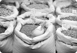 Bags of raw agricultural commodities, symbolising physical commodity investment opportunities with WIUS Capital